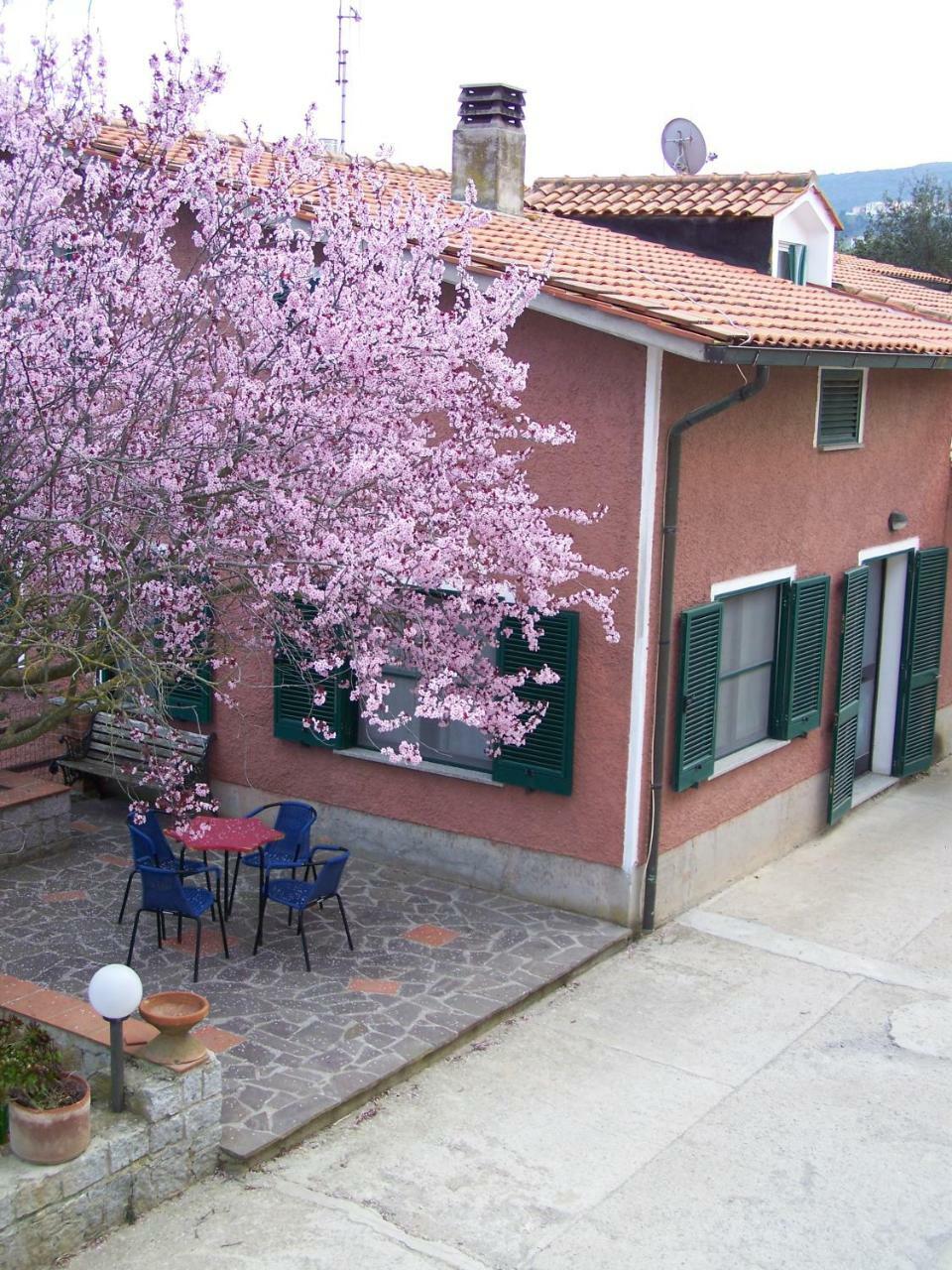 Appartamenti Gli Alberi Capoliveri  Zewnętrze zdjęcie